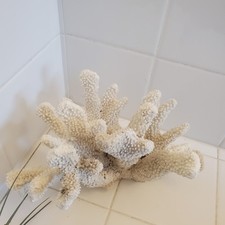Natural White Coral Reef Coastal Nautical Beach Cottage Decor Aquarium