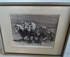Photo B&W Horses Plow Farming Picture Signed and Framed 1938 17" x 21" 