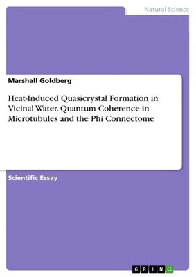 Marshall Go*dberg | Heat-Induced Quasicrystal Formation in Vicinal Water....