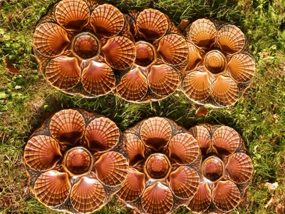 N 1 Lot 6 Assiettes A Huitres En Barbotine Sarreguemines Debut Des Mois En R Ebay