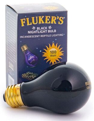 Reptile, Flukers Black Nightlight Incandescent Bulb (100 Watt)