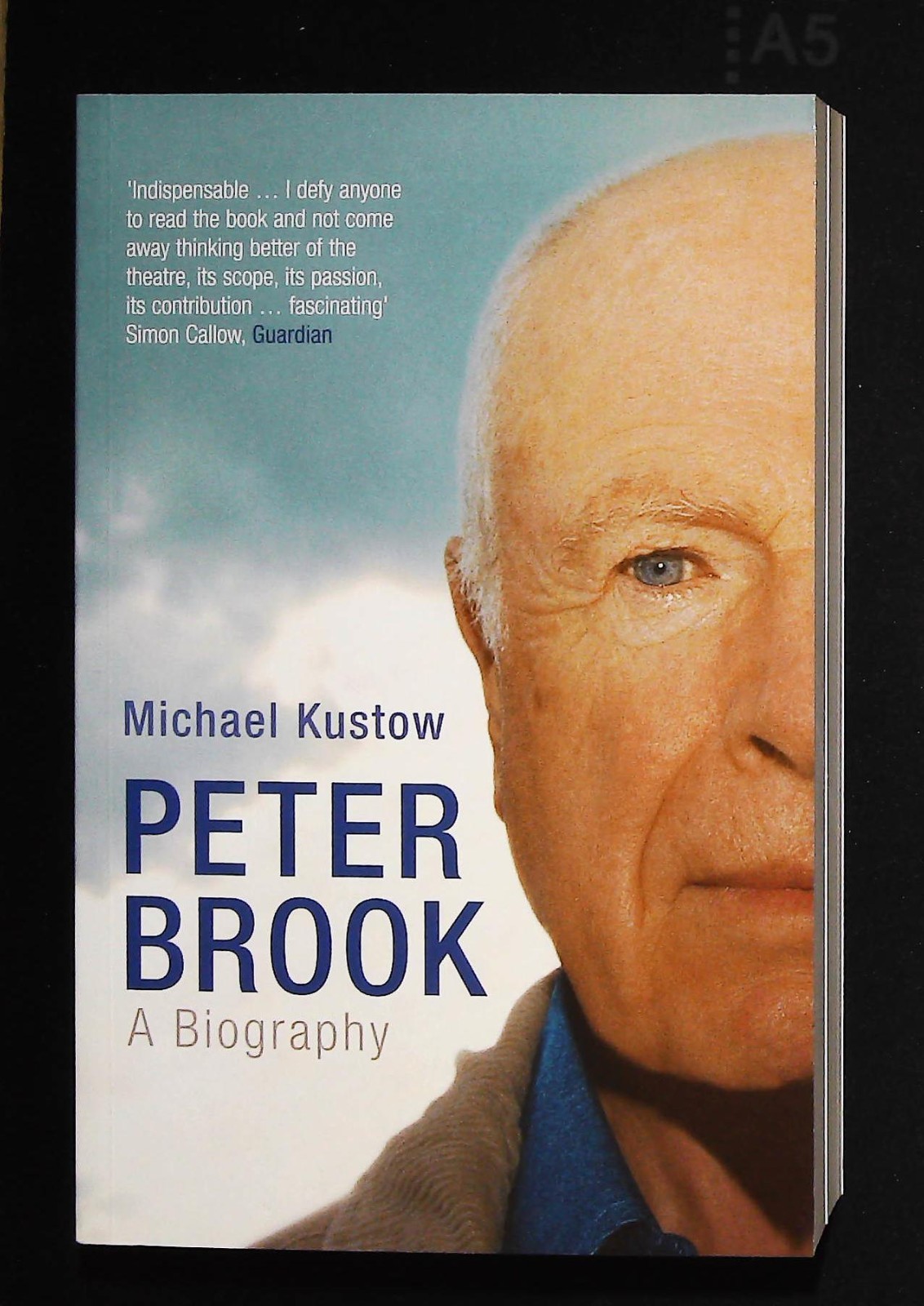 Peter Brook A Biography By Michael Kustow NEW Paperback 9780747579137