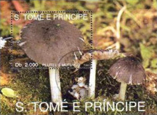 Timbre Champignons St Thomas et Prince BF138 o (71510EQ)
