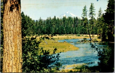Vintage Postcard View at Head of Metolius River & Mt. Jefferson Oregon OR   W651