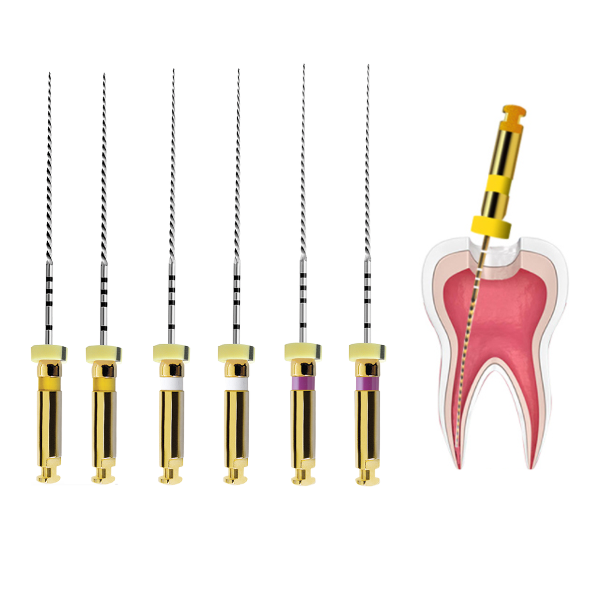 Disco Lucidante Diapro Fine Grit Per Porcellana E Zirconio - Internazionale Dental - Gomma Diamantata