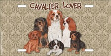 Cavalier King Charles License