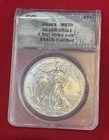 2020 American Silver Eagle $1- MS 70 - A First Strike color