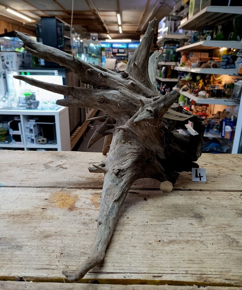 Large Corbo Root Aquarium Bogwood Vivarium Root Driftwood Catfish Cave