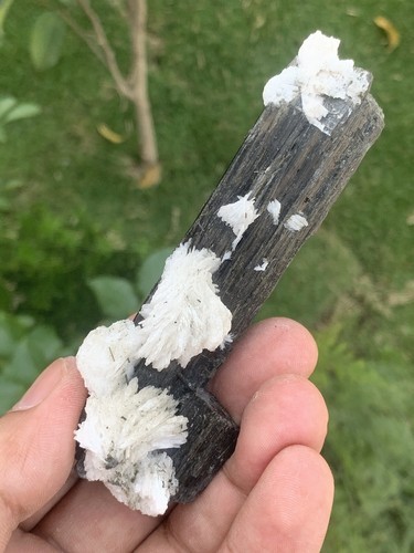 610 Gramm 4 Exemplare Konvolut Schorl Turmalin. - Bild 14 von 24