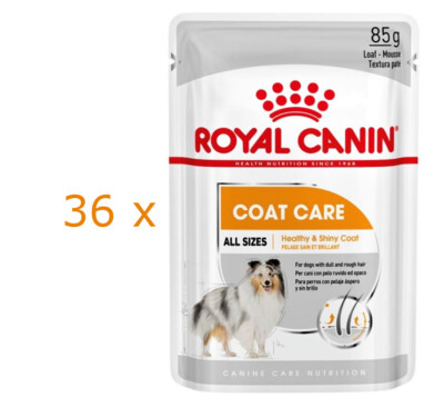 36 x 85 g Royal Canin Coat Care (  13,99/kg) Mousse für Hunde, Feuchtfutter