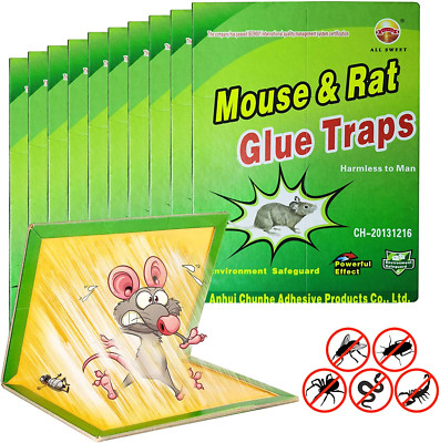 10 Pack Large Mouse Glue Traps with Enhanced Stickiness Glue Traps for Rat Roden