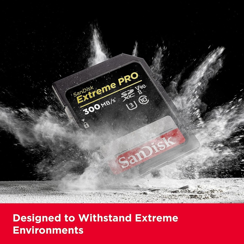 SanDisk