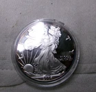 2004-W American Silver Eagle Proof Coin 1 Oz NO BOX/COA
