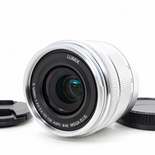 Panasonic LUMIX G VARIO 35-100mm F4-5.6 MEGA OIS H-FS35100 Silver Excellent