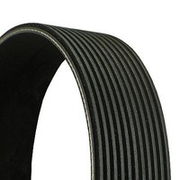 Continental Ctam Keilrippenriemen 11PK2871 FüR Mercedes Actros MP2 MP3