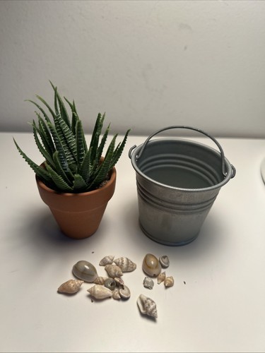 American Girl Doll 18" Patio Decorations Aloe Plant Metal Bucket Seashells Beach - Picture 2 of 7