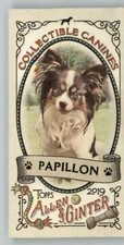 2019 Allen and Ginter Collectible Canines Mini #CC-14 Papillon