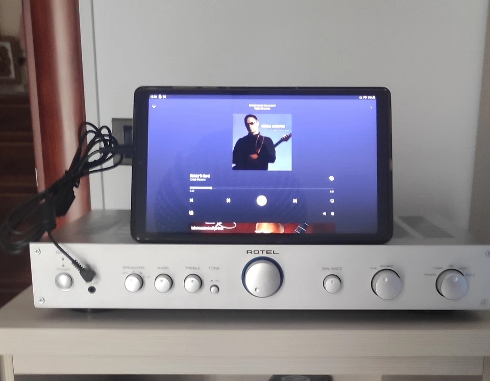 Amplificatore Rotel Ra10 Argento - Immagine 4 di 4