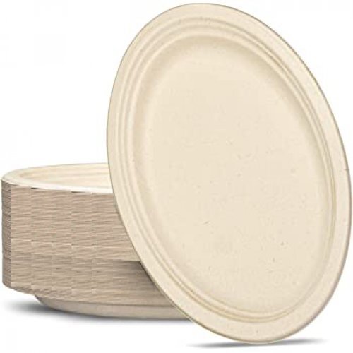NEW Sugarcane Oval Plates 325x260mm Natural - 50 pack - Picture 1 of 1