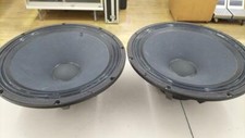 Par de unidades woofer ELECTRO-VOICE DL18MT muy buenas de JP