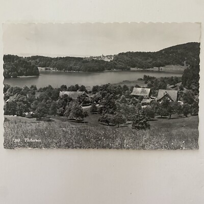 Turlersee Switzerland Small Village Alpine Mountains RPPC Antique Postcard