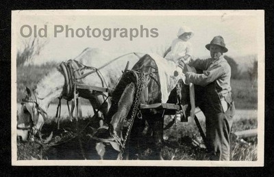 FARM SCENE BABY ON WORK HORSES FARMER FIELD OLD/VINTAGE PHOTO- A597