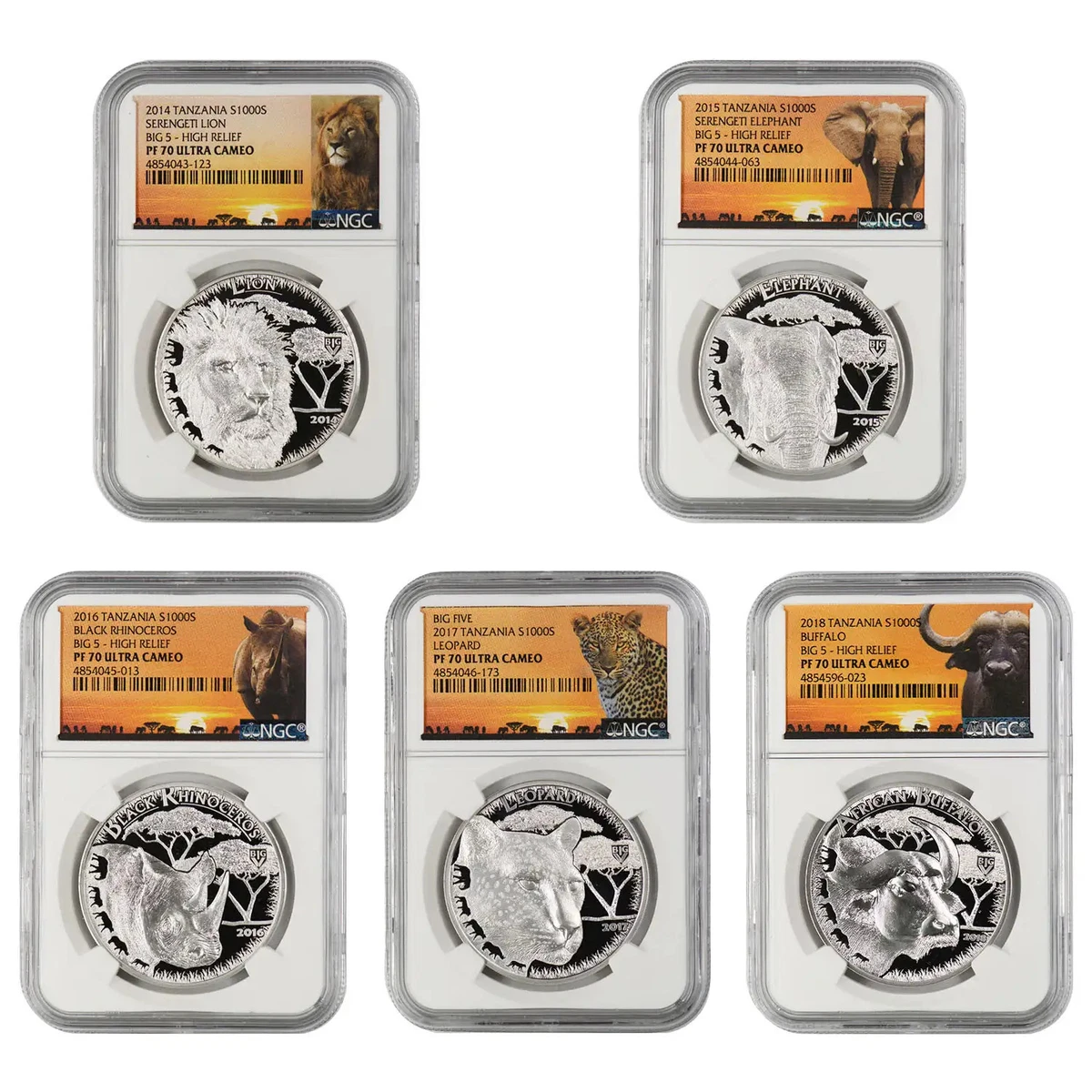 2014 タンザニア 1000シリング 銀貨 セレンゲティ ライオン ビッグ5 Silver Tanzanian Coins for sale | eBay