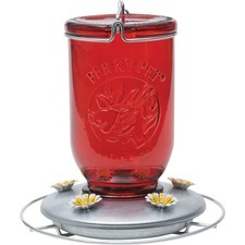 Perky-Pet 32 Oz. Glass Mason Jar Hummingbird Feeder 786 Pack of 2 Perky-Pet 786