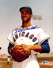 Chicago Cubs Collecting and Fan Guide 96
