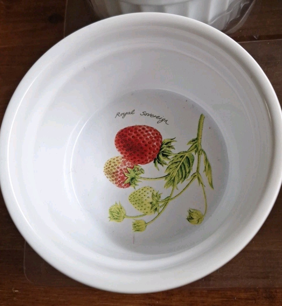 Kent Pottery Royal Sovreign Strawberry Design Ramekins Set Of 6 NOS
