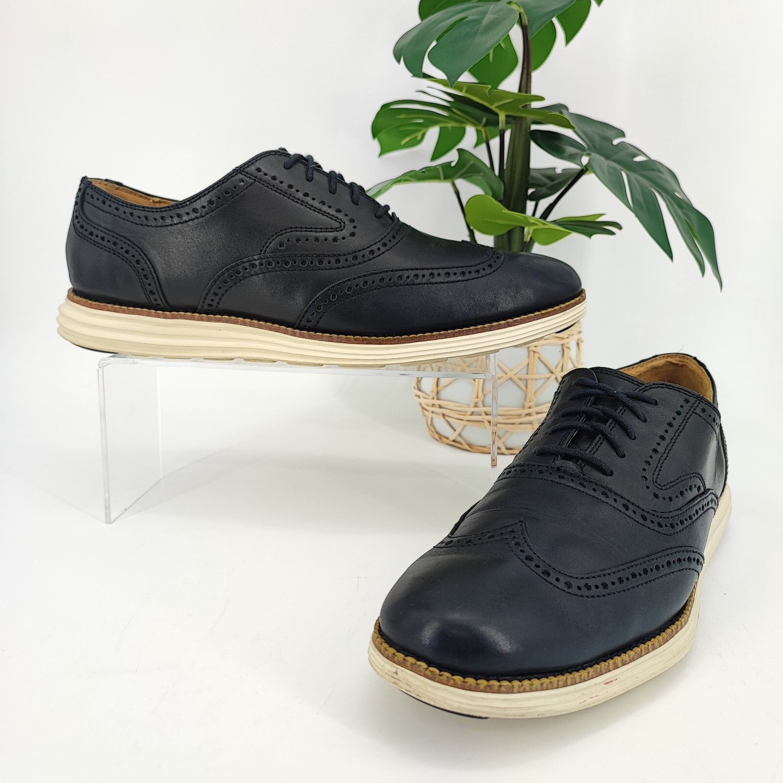 SAOLA Scarpa Oxford Cole Haan da uomo Grand OS nera punta ad ala comoda taglia 9 5 US