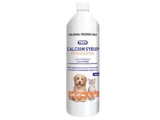 Troy Calcium Syrup 250mL