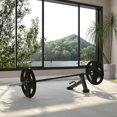 Olympic 210cm EZ Curlstange und Kreuzheben Langhantelheber Set, für Krafttraining