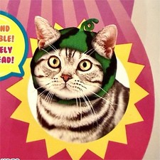 Green Polyester Cat Costume Hat for Cats, Animals  Nature Theme