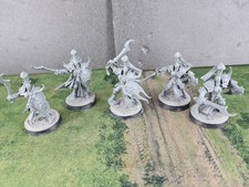 Myrmidesh Painbringers Hedonites of Slaanesh Warhammer AoS