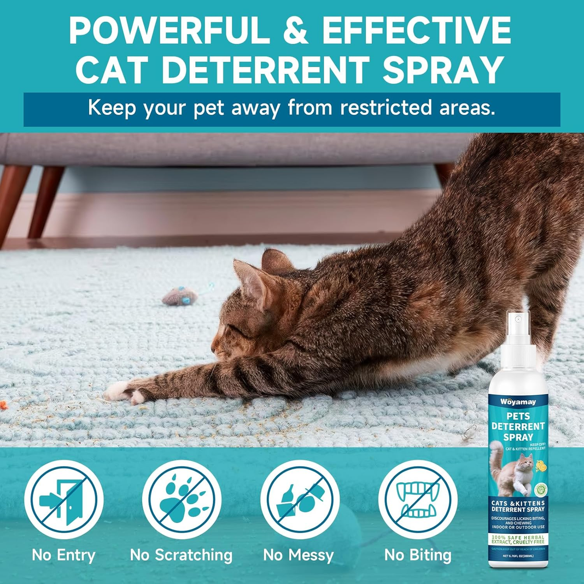 Image showcasing Cat Repellent Furniture
