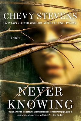 Never Knowing by Stevens, Chevy