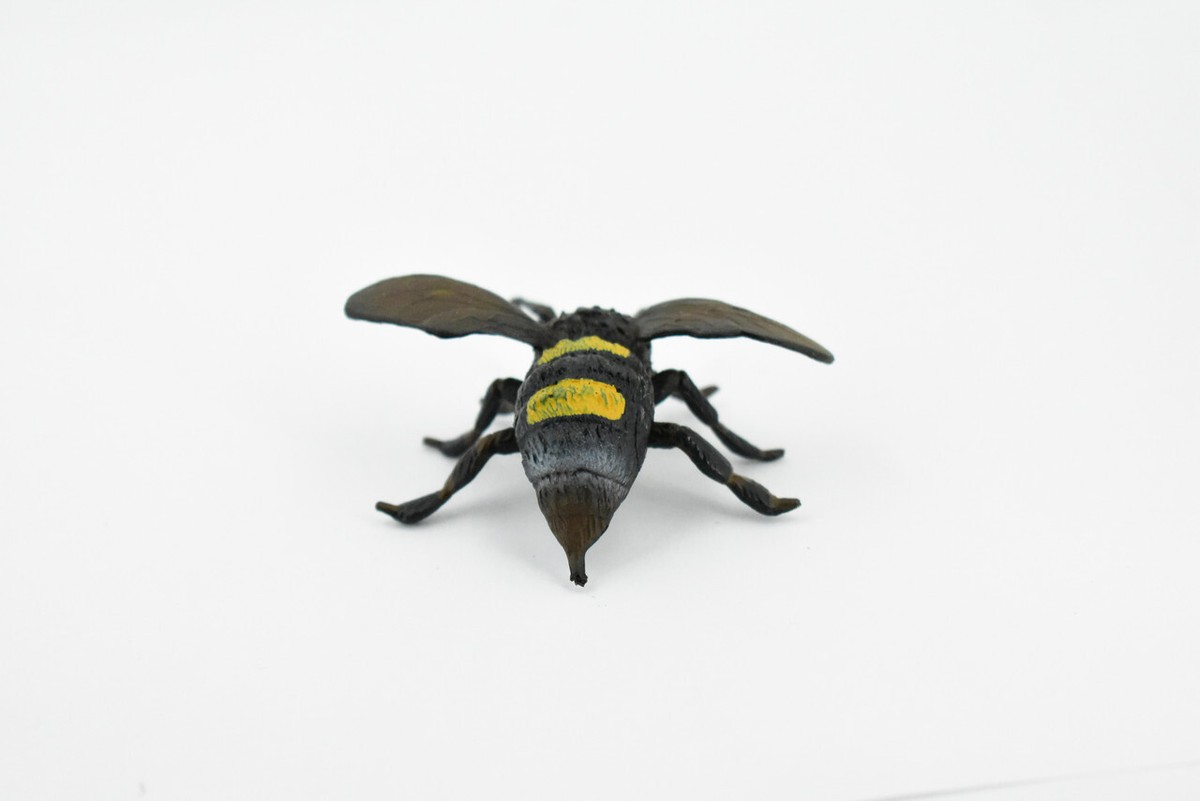 bumble-bee-bee $_57.JPG?set_id=8800005007
