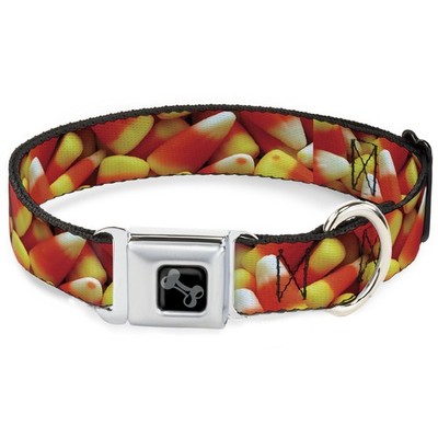 Dog Collar Bone Vivid Candy Corn Stacked Medium 11-16.5'' (US IMPORT)
