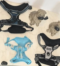  Barkbay Teal / Black  Gray Or Black Rabbitgoo Sold Separately 