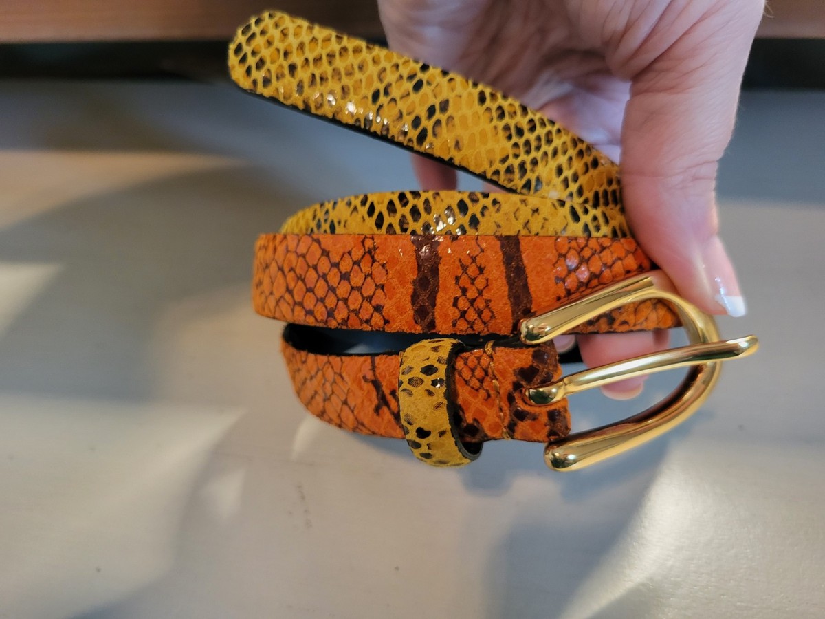 NWOT Zara Snakeskin Pattern Belt with Gold Buckle Altuzarra Snake Embossed Leather Belt - Python | Editorialist main image 4