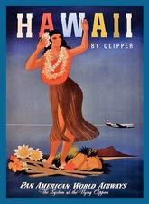 Travel Decoration Poster.Home Room Interior design.Hawaii Hula.6593