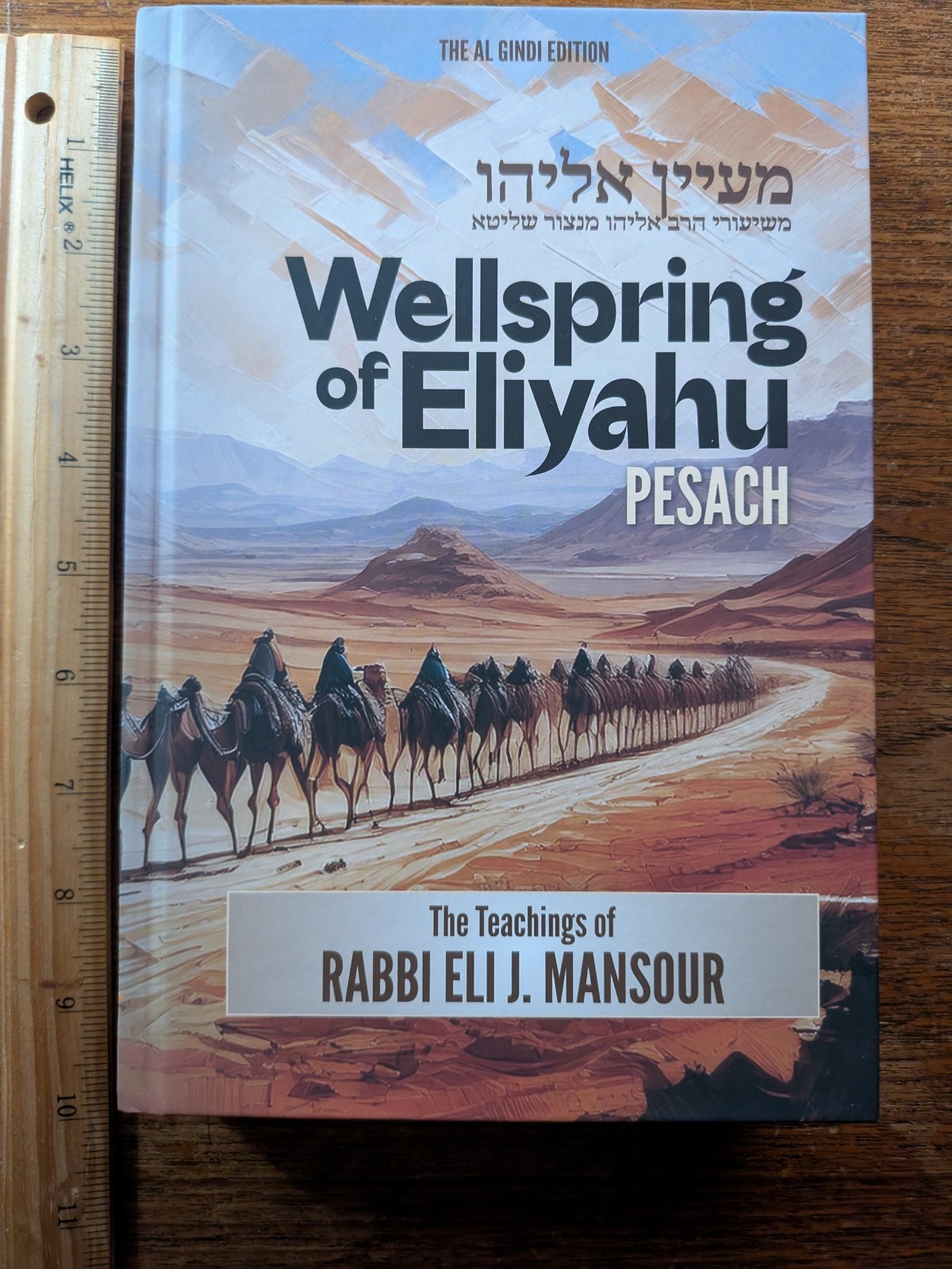 Wellspring of Eliyahu Pesach Rabbi Eli J Mansour HC New Passover Syrian Jewish