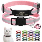 Personalized Reflective Breakaway Cat Kitten Collar & Pet Name ID Tag No Noise