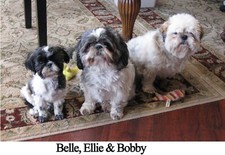 CUSTOM JIGSAW PUZZLE, 10"x16" - 252-PIECE, PERSONALIZED/YOUR PHOTO