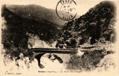 CPA AK ALGERIA Geiser 31 TENES Le Pont des Gorges (756153)