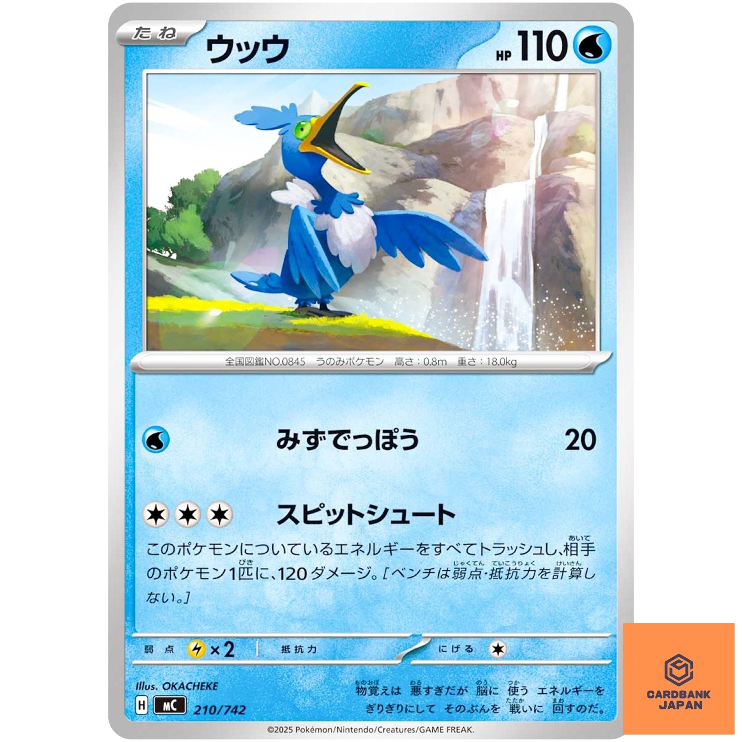 Cramorant 210/742 MC Start Deck 100 Battle Collection - Pokemon Card Japanese NM
