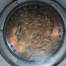 1879 Morgan Silver Dollar PCGS MS66