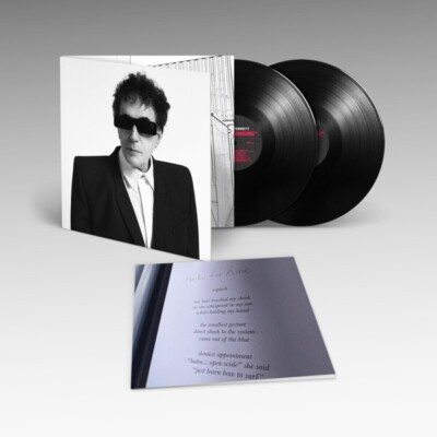 PETER PERRETT - THE CLEANSING (2LP GATEFOLD)  2 VINYL LP NEU