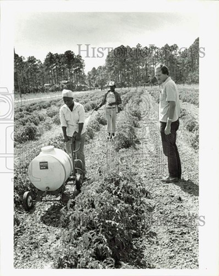 #ad 1994 Press Photo Reverend John Power Watches Field Workers Krome Avenue Miami $24.99
